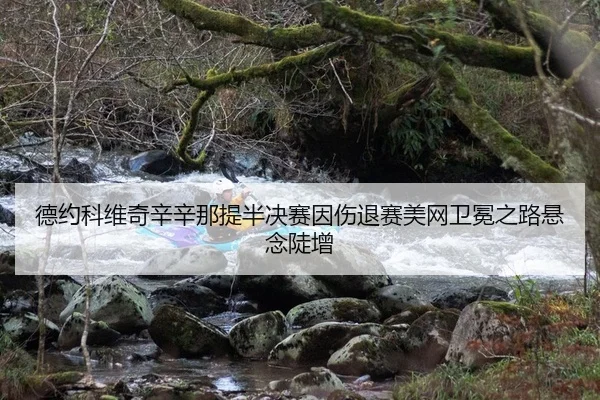 de-yue-ke-wei-qi-xin-xin-na-ti-ban-jue-sai-yin-shang-tui-sai-mei-wang-wei-mian-zhi-lu-xuan-nian-dou-zeng-2-788.jpg